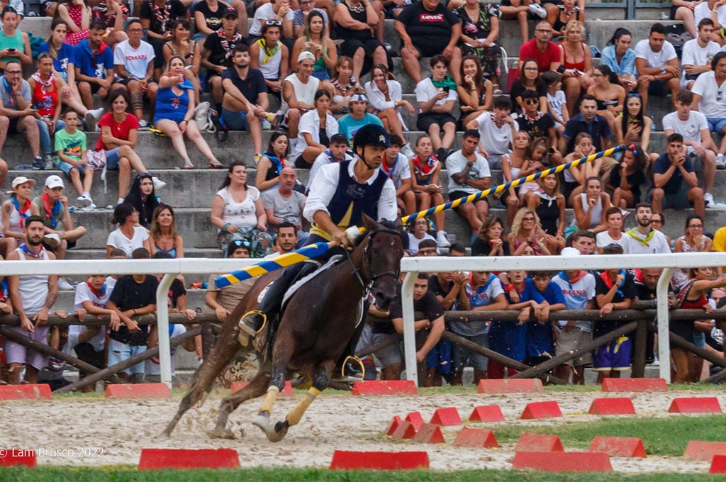 Quintana Joust