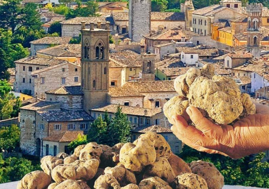 Truffle season in Marche is a culinary celebration