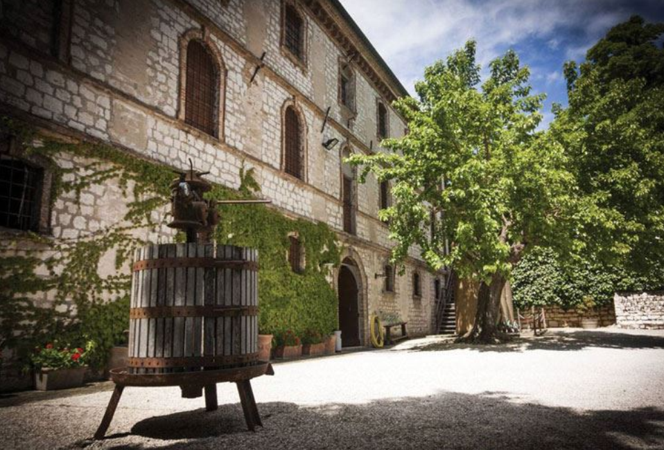 Exploring 6 Gorgeous wineries: Fattoria Le Terrazze