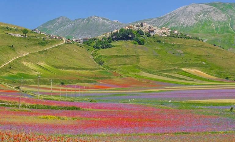 Castelluccio di Norcia