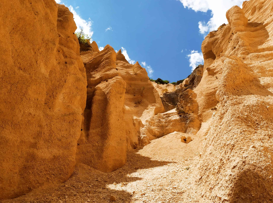 Lame Rosse